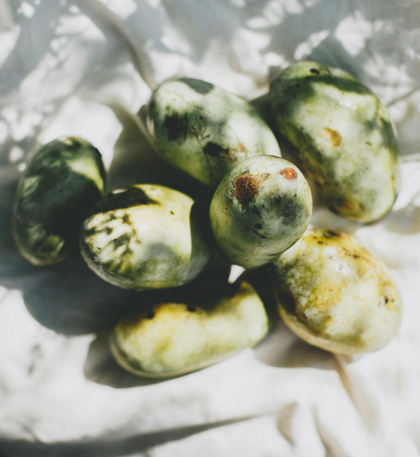 Good Things Take Time written April 2024