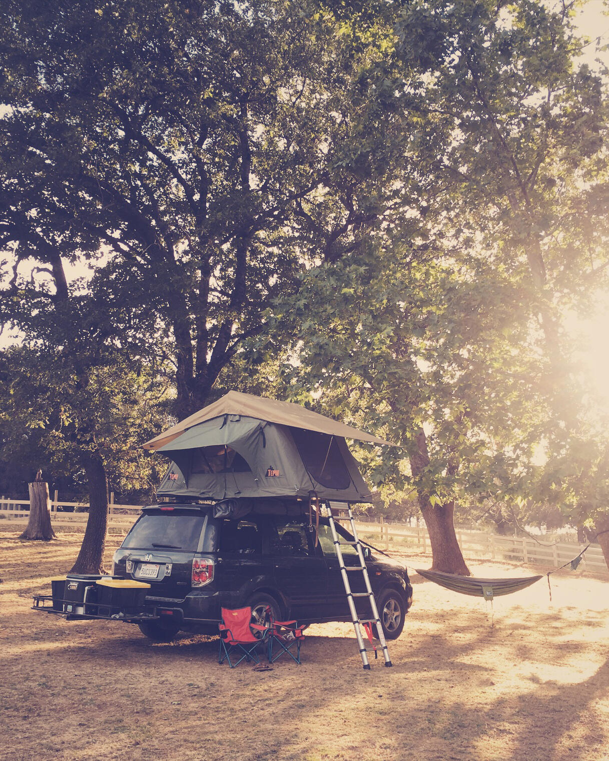 Healing Grasses written July 2023